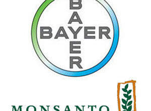 Bayer + Monsanto