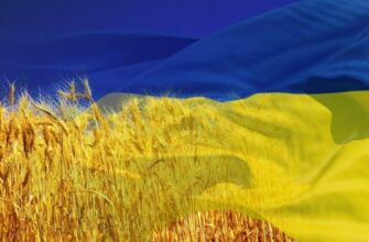 Ukraine forecast 2017