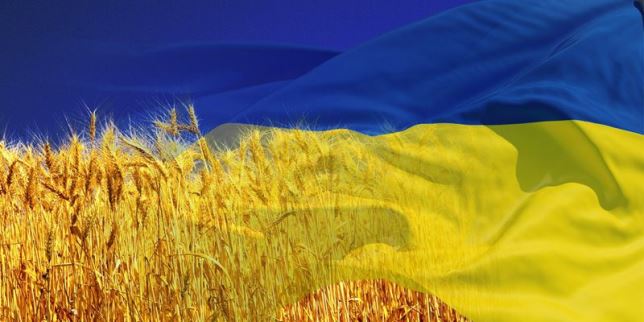 Ukraine forecast 2017