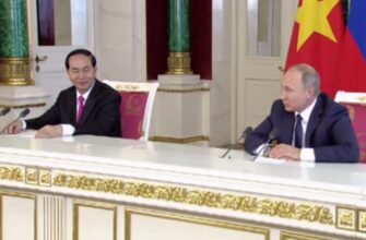 Meeting of Vladimir Putin and Tran Dai Quang in 2017