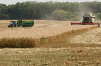 Минсельхоз сообщает о росте кредитования полевых работ. Фото: Министерство сельского хозяйства России