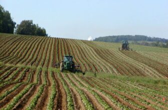 Potato Field in USA. Photo: Wikipedia