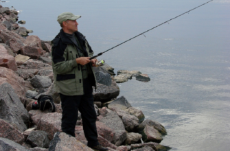 Igor Tarasov. Photo: Press-service of St. Petersburg university