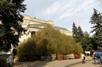 Экспонат выставки Цай Гоцян в ГМИИ закрыл вход в музей