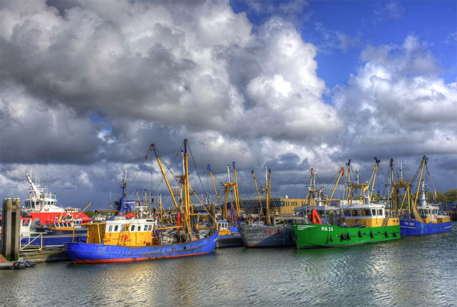 Стратегия развития рыболовства: к 2030 г построят 90 судов