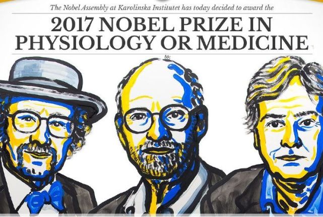 Нобелевская премия 2017: известны имена первых лауреатов