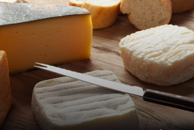 Плесень и сыр – деликатесный тандем