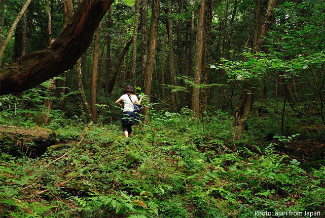 Японский лес самоубийц
