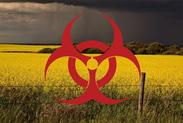 Ешьте ГМО: Борис Пайкин готов уничтожить российский агропром