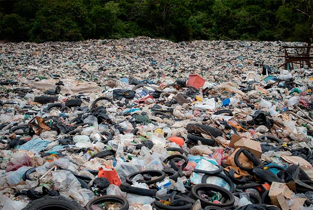 95% жителей Архангельской области против мусора в Шиесе