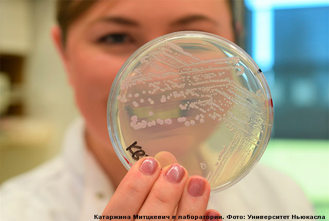 Бактерии умеют выпрыгивать из собственной кожи