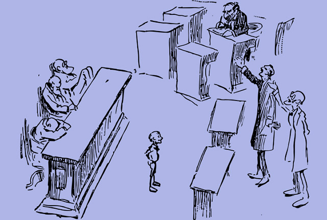 Счётная палата усомнилась в государственных адвокатах
