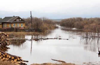 Русский народ