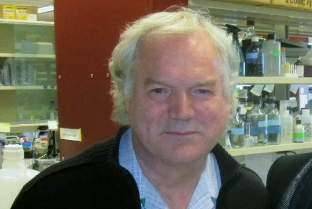 Prof. Michael Houghton
