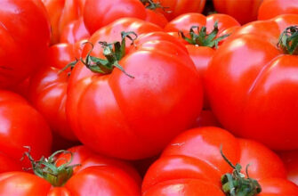 Запрет томатов из Армении и Азербайджана вызовет войну