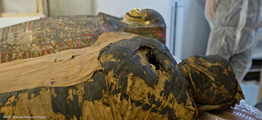Обнаружена первая беременная египетская мумия