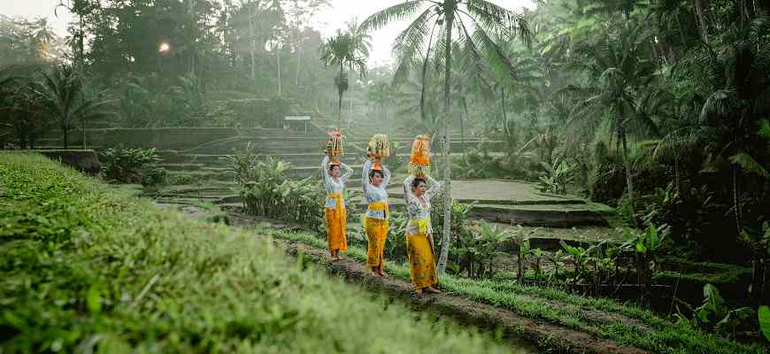 туризм в Индонезию