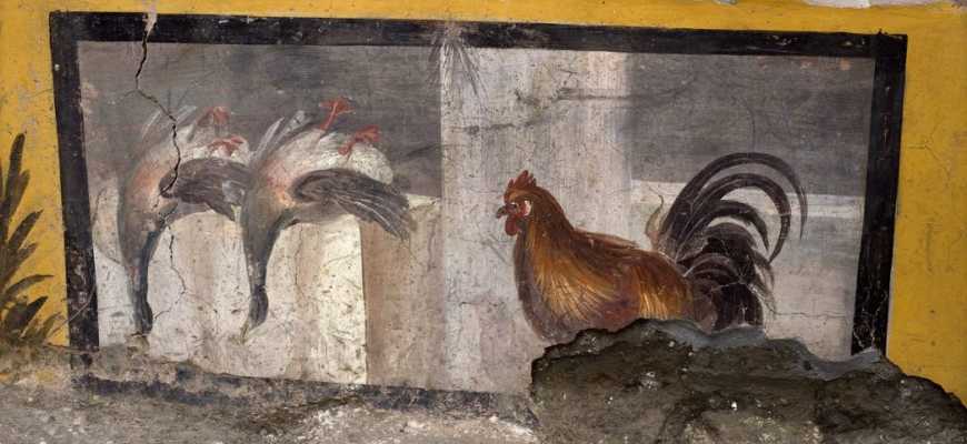 Туристам показывают фаст-фуд времён гибели города Помпеи