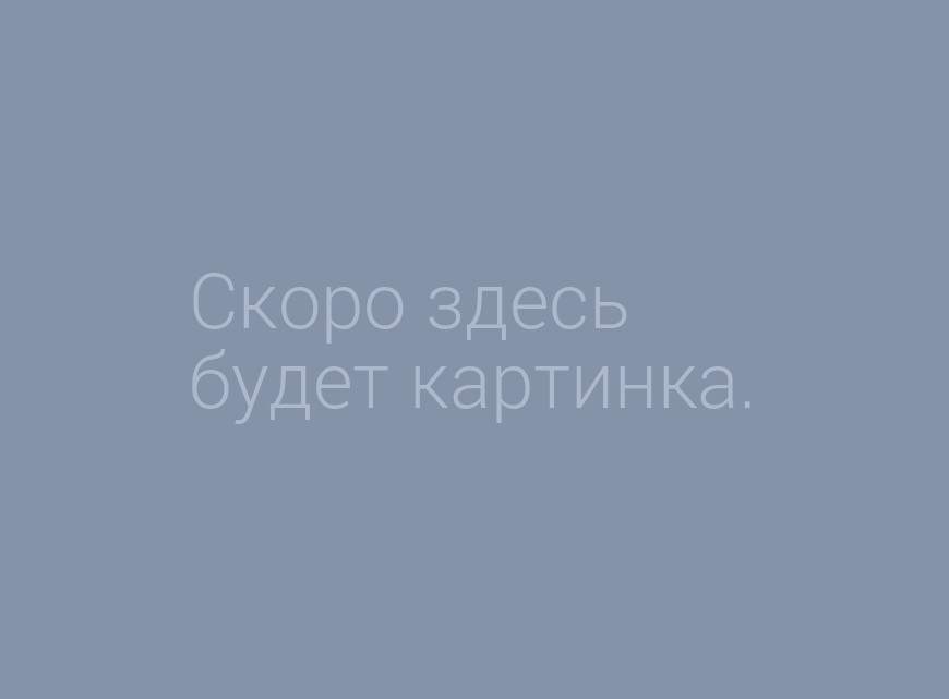 Юбилейное интеллектуальное путешествие к Мигелю де Сервантесу