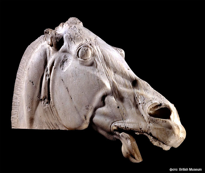 Голова лошади из Афин, Греция, 438-432 годы до н.э. Одна из самых известных и популярных скульптур Парфенона. Она отражает саму суть стресса, испытываемого животного, которое провело ночь, таща колесницу Луны по небу.