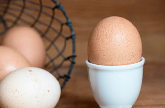 Одно яйцо в день повышает уровень «хорошего холестерина»