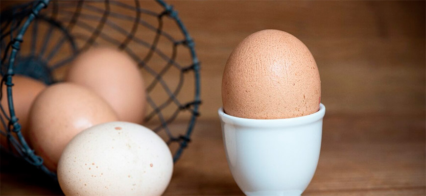 Одно яйцо в день повышает уровень «хорошего холестерина»