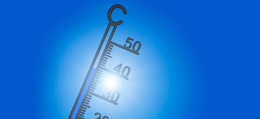 Самые эффективные способы остыть в жару – советы учёных