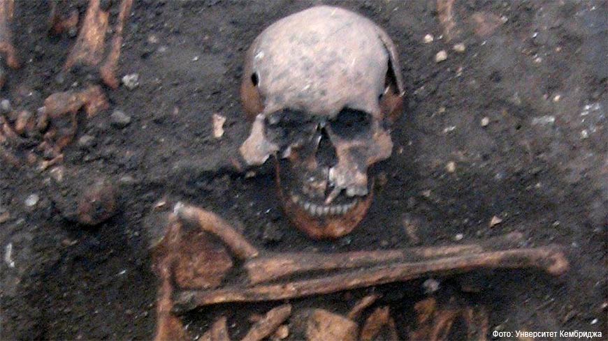 Еще один образец герпеса нашелся в останках молодого юноши 14-го века
