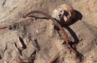 В Польше найдена новая могила женщины-вампира
