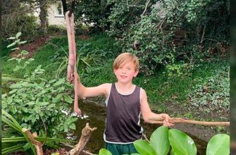 9-летний мальчик нашёл гигантского дождевого червя