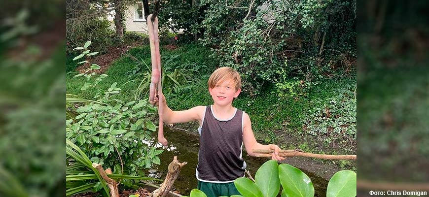 9-летний мальчик нашёл гигантского дождевого червя