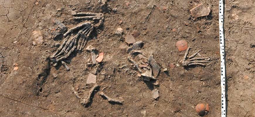 В Египетском дворце нашли отрубленные кисти рук