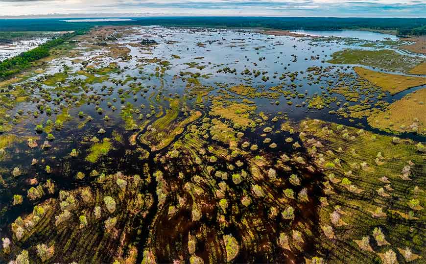 Водно-болотные угодья в заповеднике Этан-де-Куссо также являются важным местом кормления перелетных птиц.