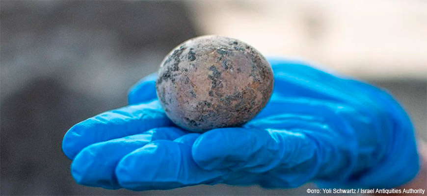Археологи нашли и разбили 1000-летнее яйцо