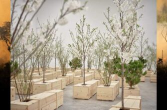 Почему выставка Йоко Оно закрылась? «Деревья погибли»