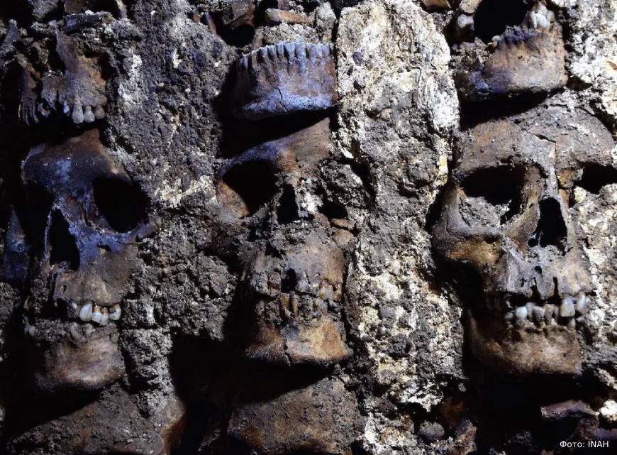 «Башня черепов» ацтеков явила свои новые секреты