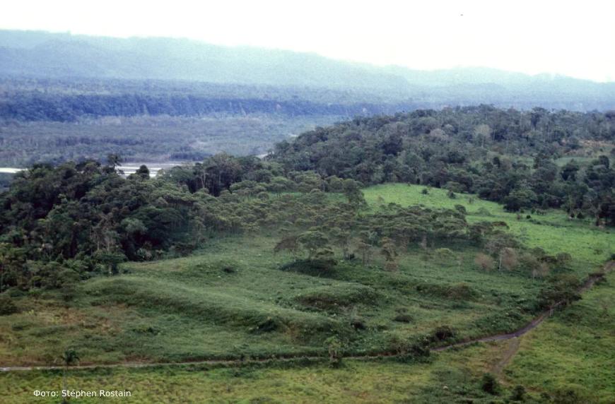 Исследователи обнаружили прямоугольные платформы вдоль русла реки Упано в Эквадоре.