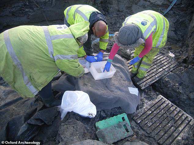 Команда археологов собирает древние артефакты