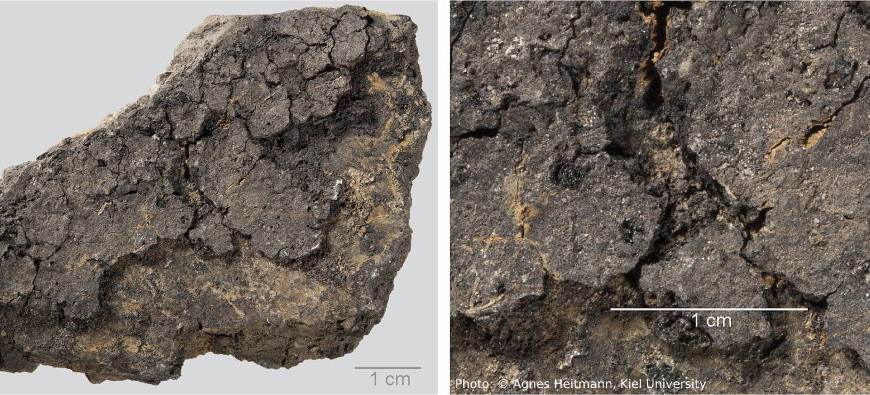 Подгоревшая еда 5000-летней давности на керамическом черепке из Ольденбурга, ЛА 77.