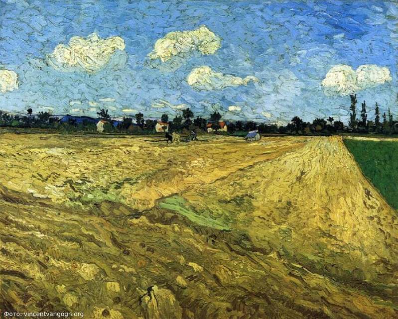 Винсент ван Гог, Вспаханное поле, 1888