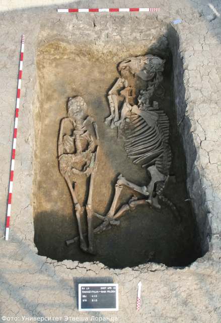 Археологи обнаружили тело мужчины-авара, похороненного вместе со скелетом лошади.