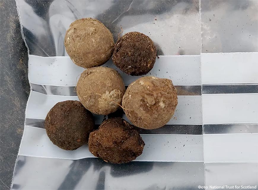 На поле битвы при Каллодене археологи нашли 100 боеприпасов