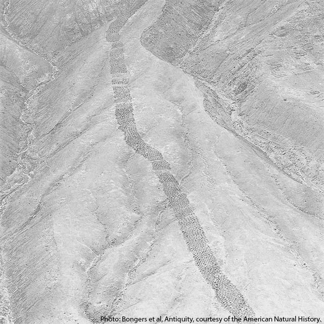 Аэрофотоснимок Монте-Сьерпе, сделанный Робертом Шиппи и опубликованный Национальным географическим обществом в 1933 году.