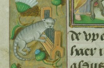 Как средневековый кот стал темой новой выставки