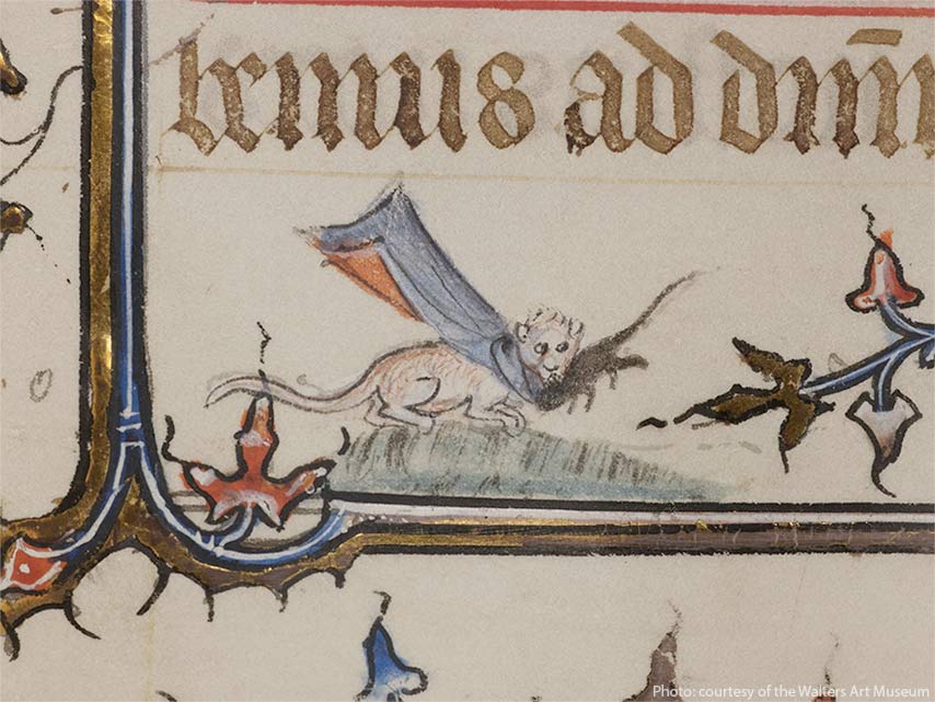 Фрагмент средневекового манускрипта