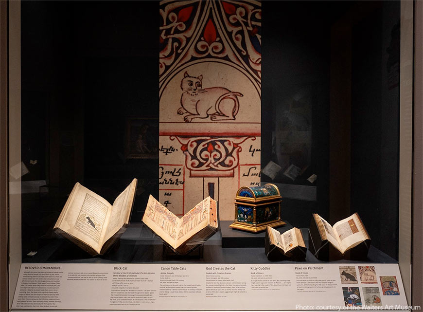 Выставка “Лапы на пергаменте” в художественном музее Уолтерса.