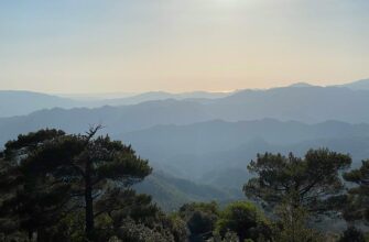 Анализ ДНК подтвердил гибель бывшего гендиректора "Уралкалия" Баумгартнера